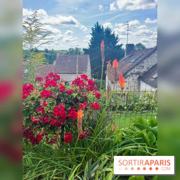 Le long de l'Oise, entre Auvers-sur-Oise et l'Isle-Adam - image00001