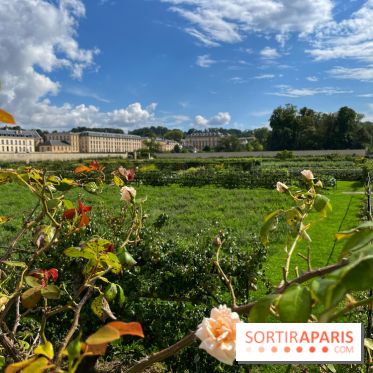 Potager du Roi - IMG 4180