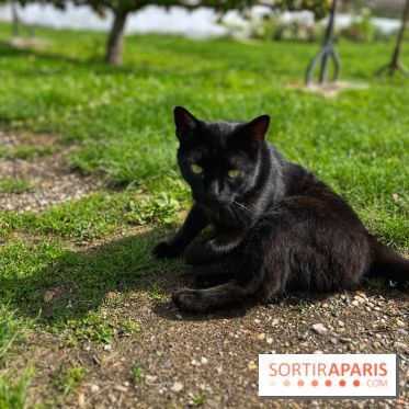 Potager du Roi - IMG 4217