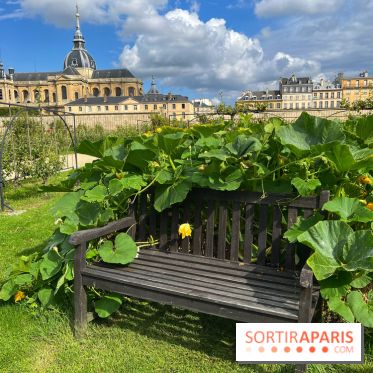 Potager du Roi
