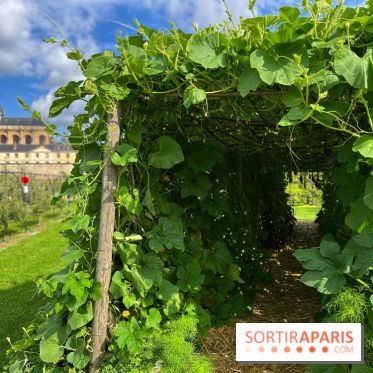 Potager du Roi