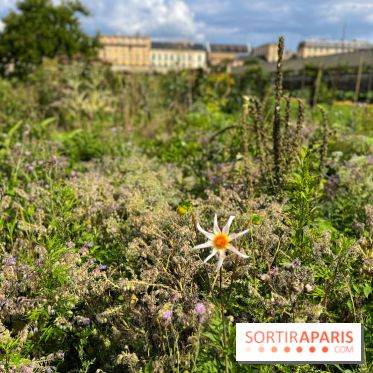 Potager du Roi