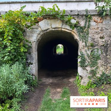 Potager du Roi - IMG 4243