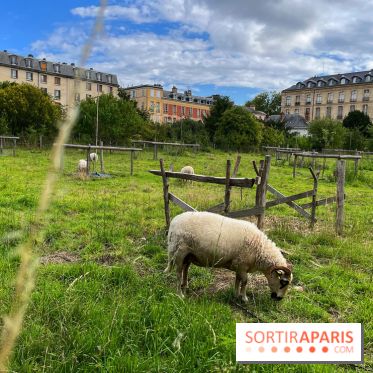 Potager du Roi - IMG 4251