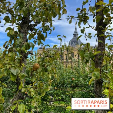 Potager du Roi