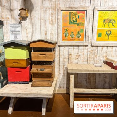 La ferme de Saint-Cyr l'Ecole - image00069