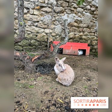 La ferme de Saint-Cyr l'Ecole - image00066