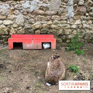 La ferme de Saint-Cyr l'Ecole - image00063