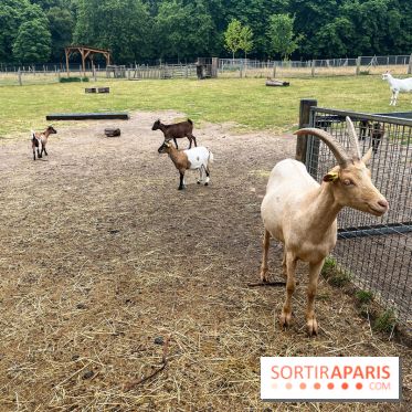 La ferme de Saint-Cyr l'Ecole