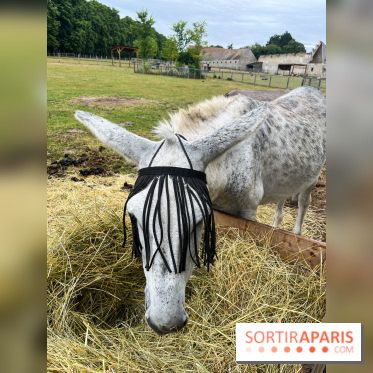 La ferme de Saint-Cyr l'Ecole - image00051