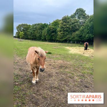 La ferme de Saint-Cyr l'Ecole - image00045
