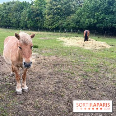 La ferme de Saint-Cyr l'Ecole - image00046