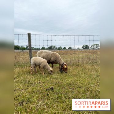 La ferme de Saint-Cyr l'Ecole