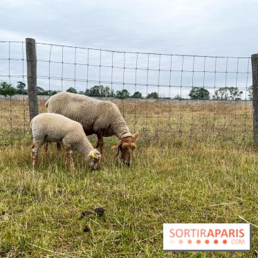 La ferme de Saint-Cyr l'Ecole