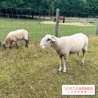 La ferme de Saint-Cyr l'Ecole - image00040