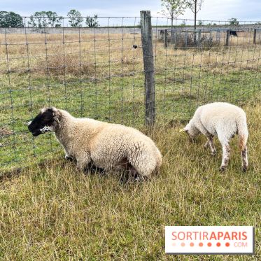 La ferme de Saint-Cyr l'Ecole - image00039