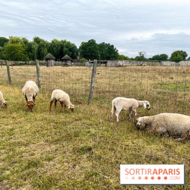 La ferme de Saint-Cyr l'Ecole