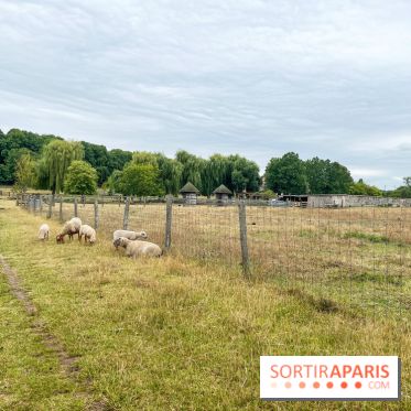 La ferme de Saint-Cyr l'Ecole
