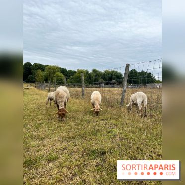 La ferme de Saint-Cyr l'Ecole - image00035