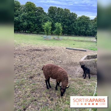 La ferme de Saint-Cyr l'Ecole - image00026