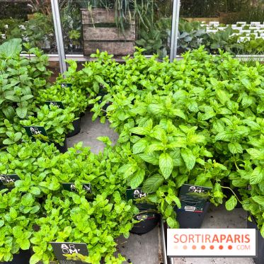 La ferme de Saint-Cyr l'Ecole - image00016