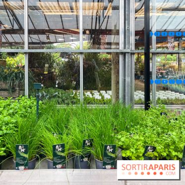 La ferme de Saint-Cyr l'Ecole - image00013