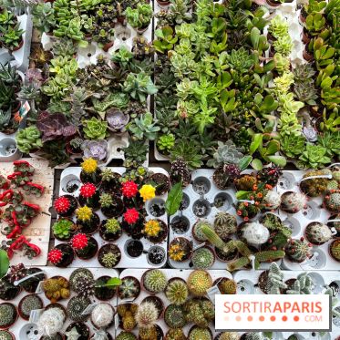 La ferme de Saint-Cyr l'Ecole - image00001