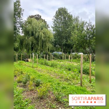 Les Rives de Paris, l'unique camping du 93 à Neuilly-sur-Marne - image00065