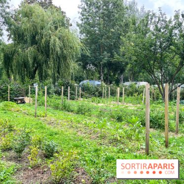 Les Rives de Paris, l'unique camping du 93 à Neuilly-sur-Marne - image00066