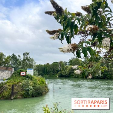 Neuilly Plaisance, le port de plaisance de Neuilly-sur-Marne - image00076