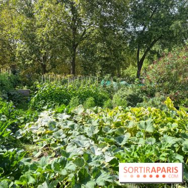 Le parc Georges Brassens, pour se croire à la campagne dans le 15e - image00056