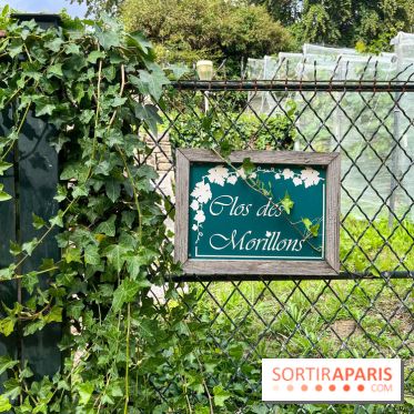 Le parc Georges Brassens, pour se croire à la campagne dans le 15e - image00030
