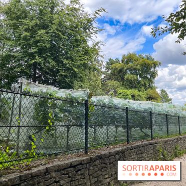 Le parc Georges Brassens, pour se croire à la campagne dans le 15e