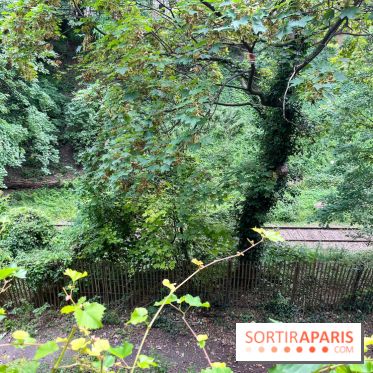 Le parc Georges Brassens, pour se croire à la campagne dans le 15e - image00032