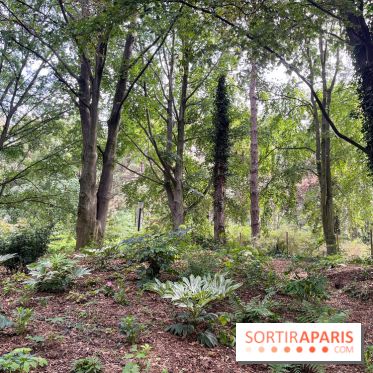 Le parc Georges Brassens, pour se croire à la campagne dans le 15e