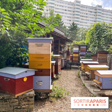 Le parc Georges Brassens, pour se croire à la campagne dans le 15e - image00022