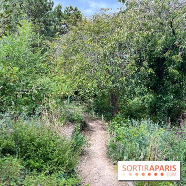 Le parc Georges Brassens, pour se croire à la campagne dans le 15e - image00023