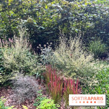 Le parc Georges Brassens, pour se croire à la campagne dans le 15e - image00018