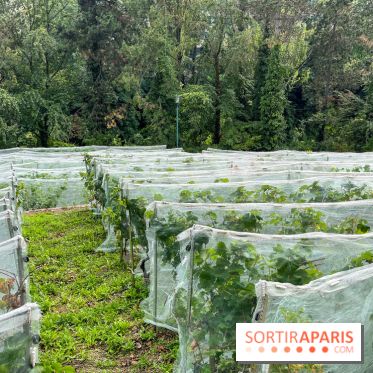 Le parc Georges Brassens, pour se croire à la campagne dans le 15e