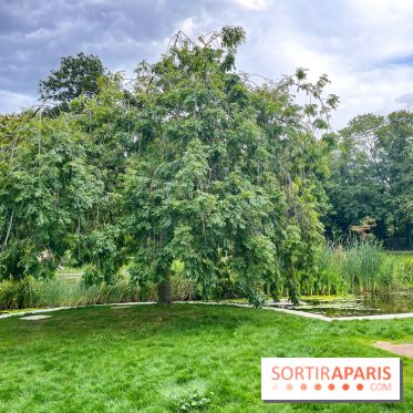 Le parc Georges Brassens, pour se croire à la campagne dans le 15e - image00011