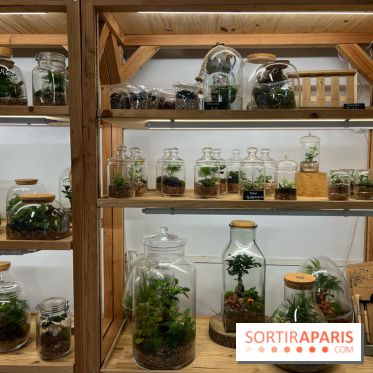 Boby la Plante - IMG 4332