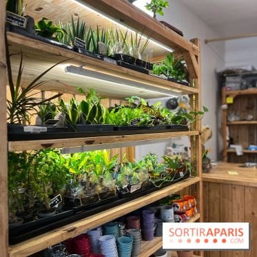 Boby la Plante