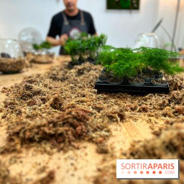 Boby la Plante - IMG 4340