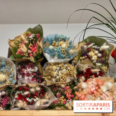 Boby la Plante - IMG 4353