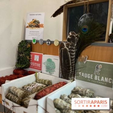 Les Mists Terre d'Avalon - IMG 4571