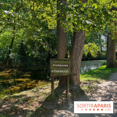 Les lacs et rivières du Vésinet, dans les Yvelines