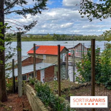 L'étang de la Galiotte dans le parc du Peuple de l'Herbe - Carrières-sous-Poissy (Yvelines) - image00011