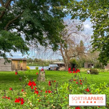 L'étang de la Galiotte dans le parc du Peuple de l'Herbe - Carrières-sous-Poissy (Yvelines) - image00016