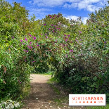 L'étang de la Galiotte dans le parc du Peuple de l'Herbe - Carrières-sous-Poissy (Yvelines) - image00025