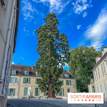 Montfort l'Amaury, village médiéval dans les Yvelines